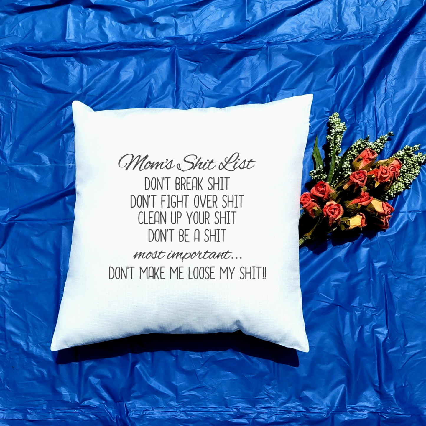 Funny Sarcastic Quote Accent Pillow in Two Sizes