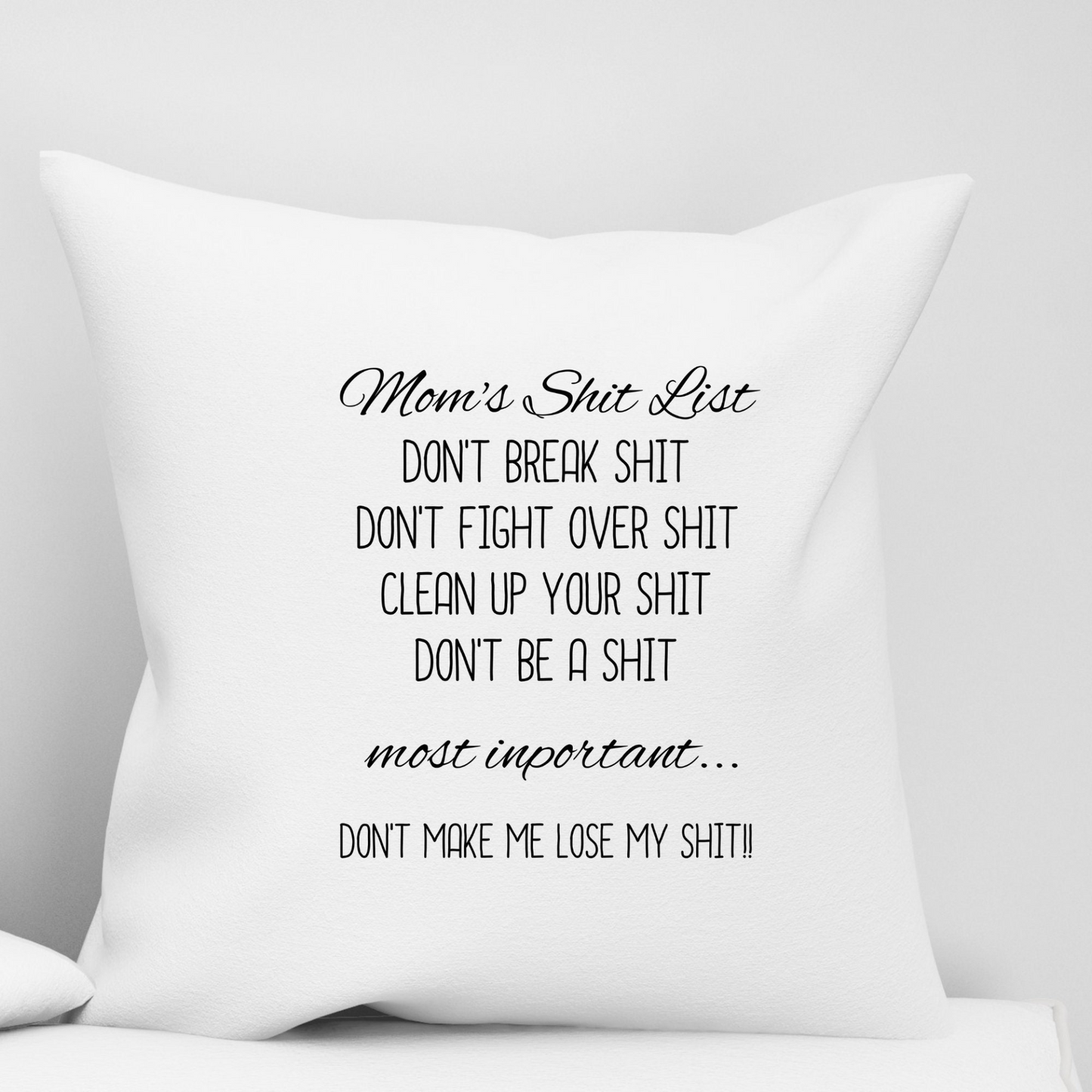 Funny Sarcastic Quote Accent Pillow in Two Sizes