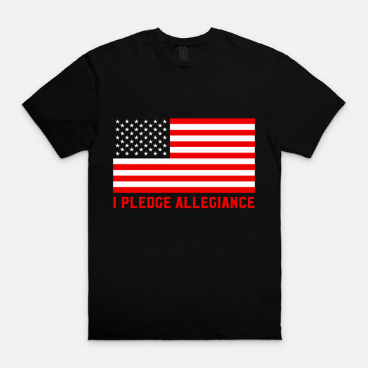 I Pledge Allegiance / American Flag T-Shirt