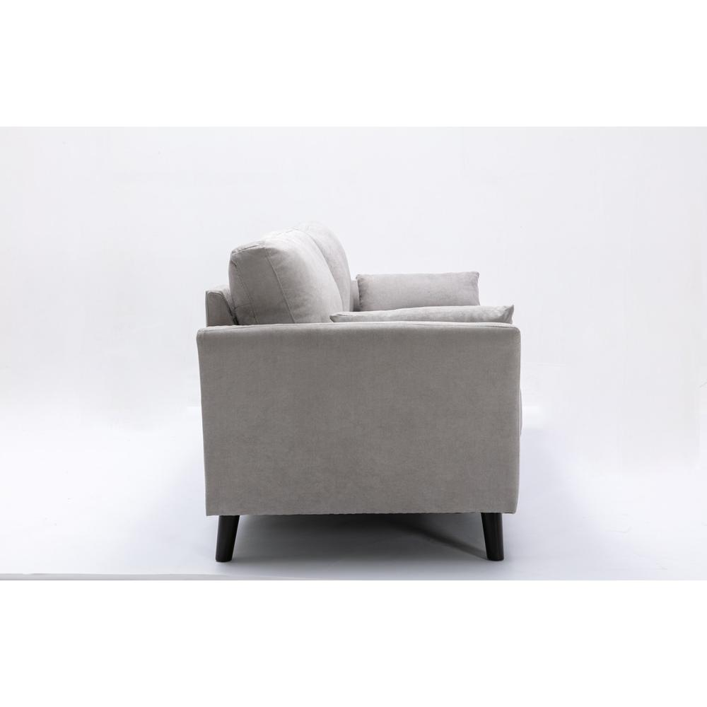 Damian Light Gray Velvet Fabric Sofa