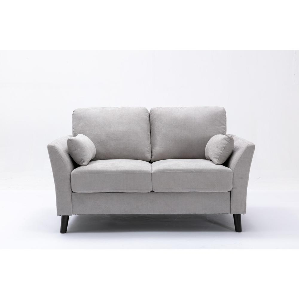 Damian Light Gray Velvet Fabric Loveseat